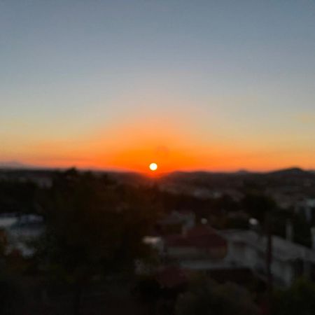 Appartamento Panorama Γλυκά Νερά - Athens Esterno foto
